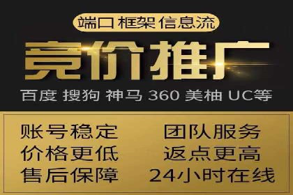 某企业SEM广告投放的ROI提升策略及效果展示
